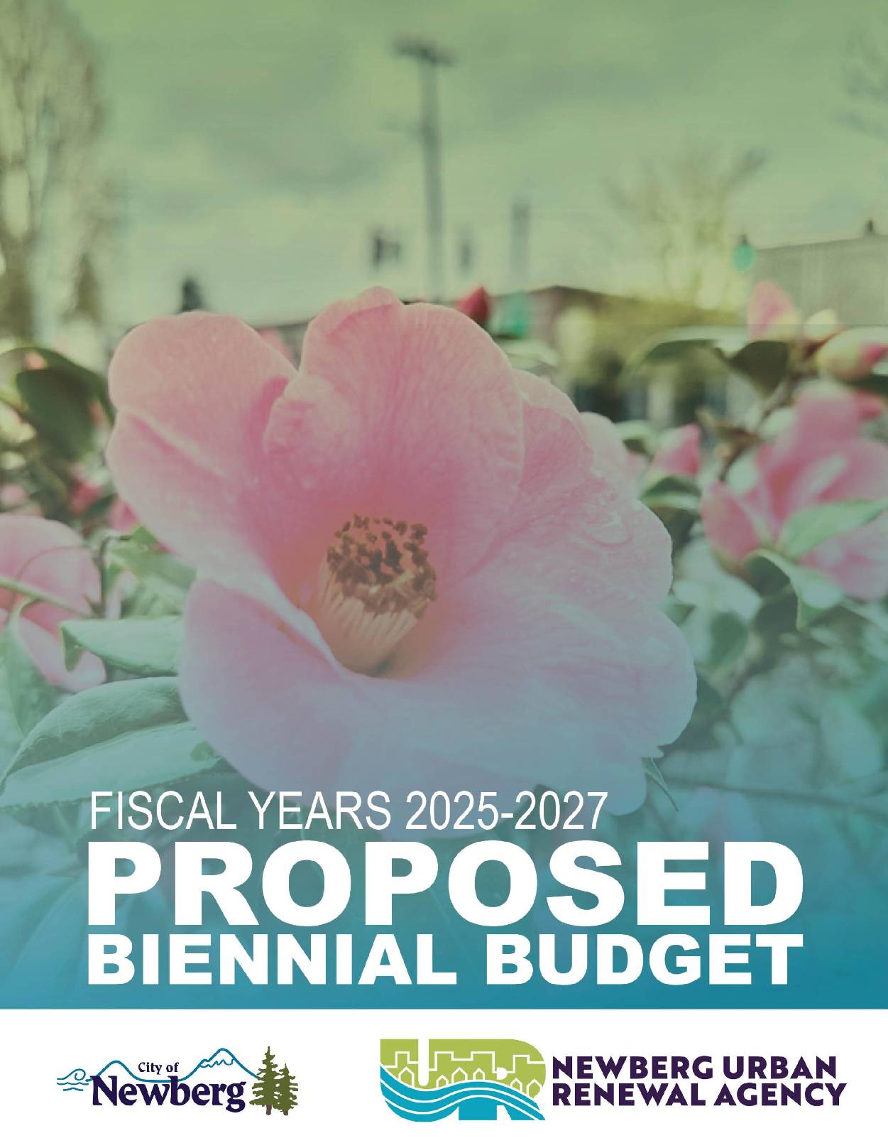 PROPOSED NURA Budget 25-27_cover - Copy